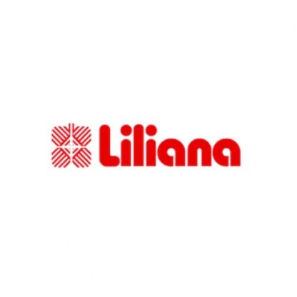Batidora De Mano Liliana 450w 5 Velocidades Ab103