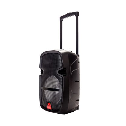 Parlante Bluetooh Daewoo Rock 12"